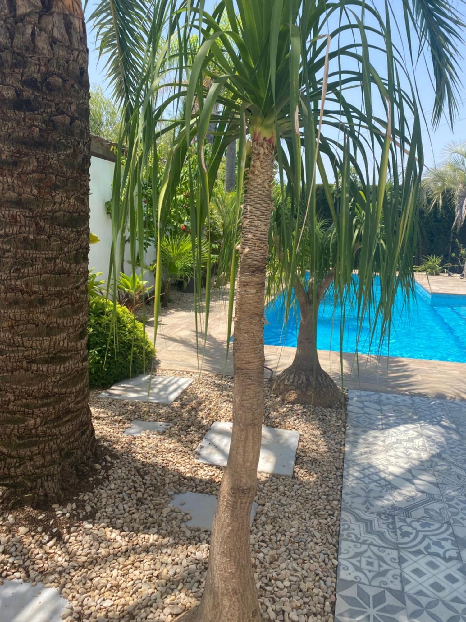 Bohospanishvilla Moraira Exteriör bild
